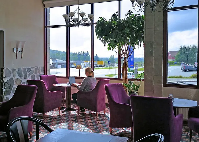 酒店 Hotel Jaemsae 3*